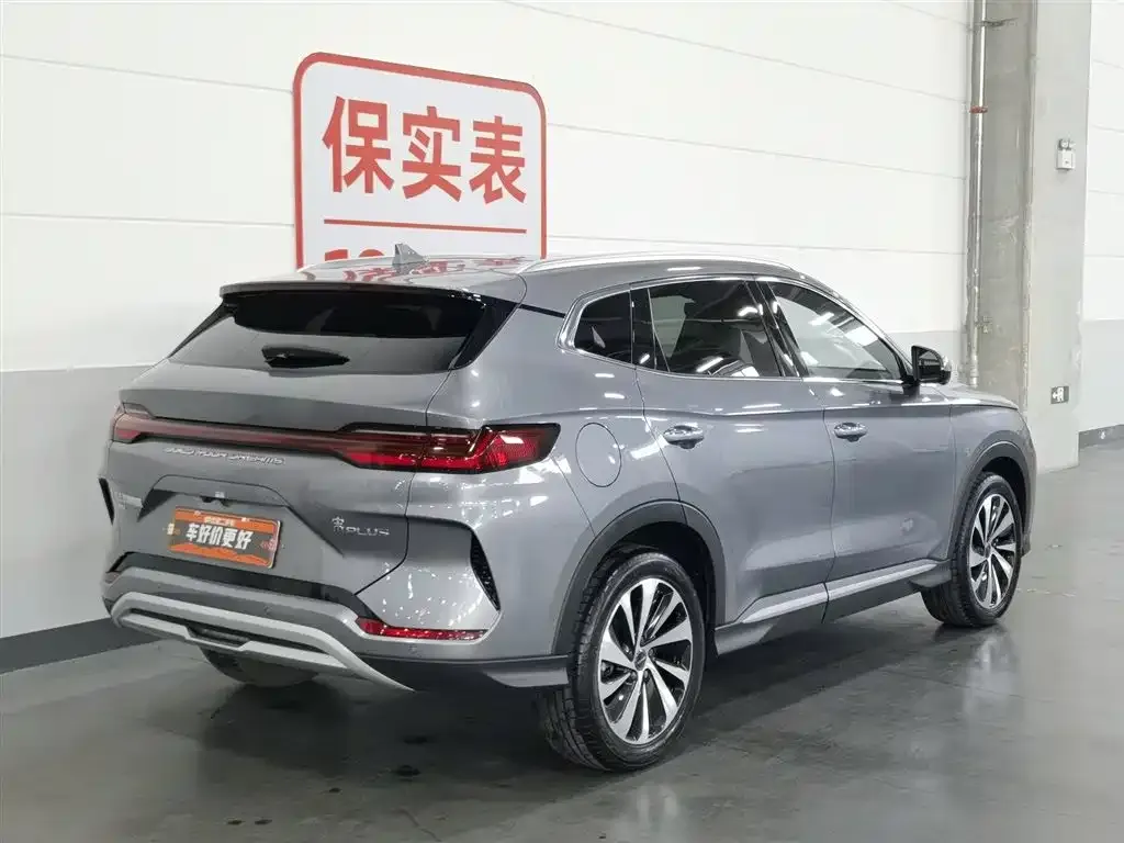BYD PLUS New Energy — фото 8