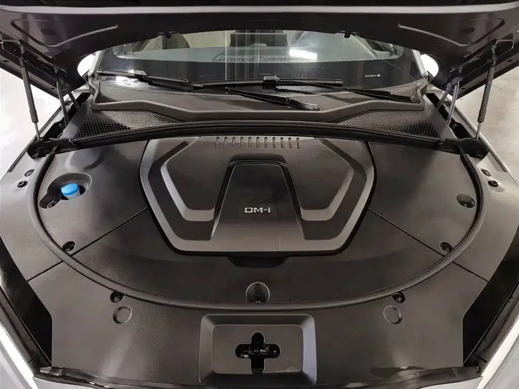 BYD PLUS New Energy — фото 10