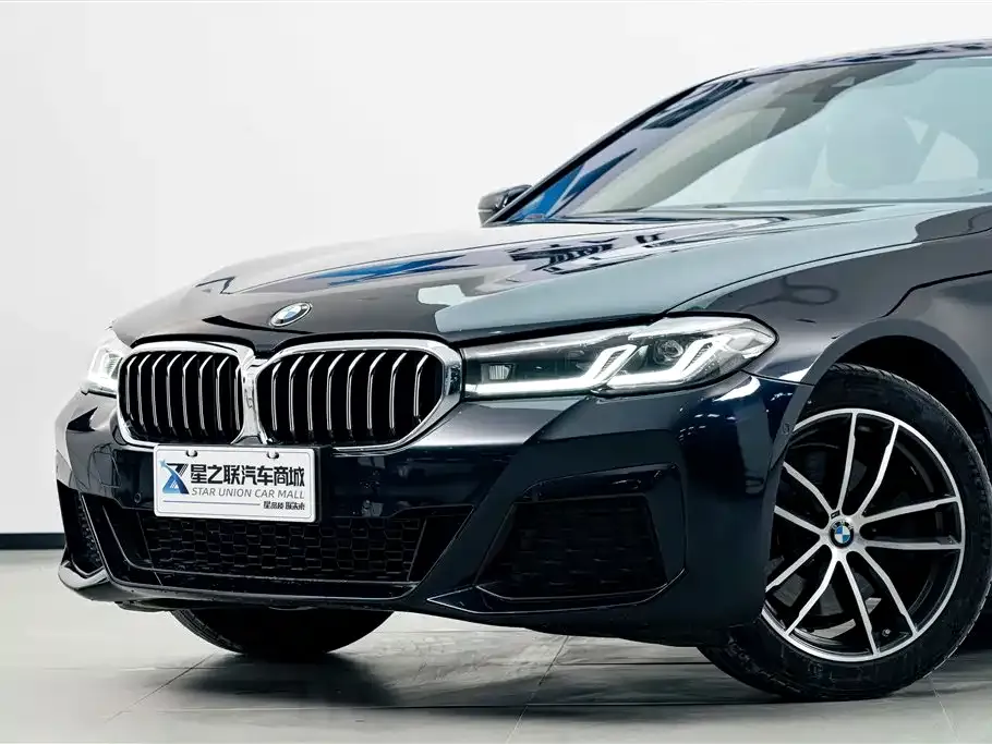 BMW 5 Series (Import) 2023 из CN, фото 10