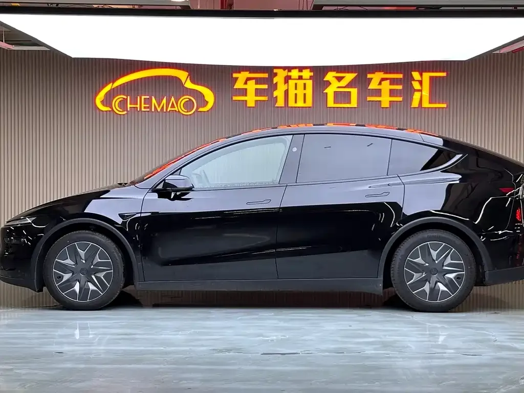 Tesla Model Y L 2026 из CN, фото 6