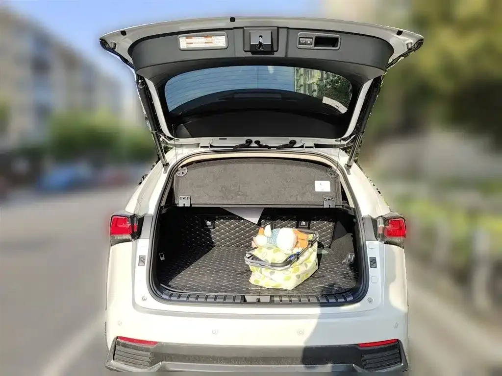 Lexus NX 2021 из CN, фото 10