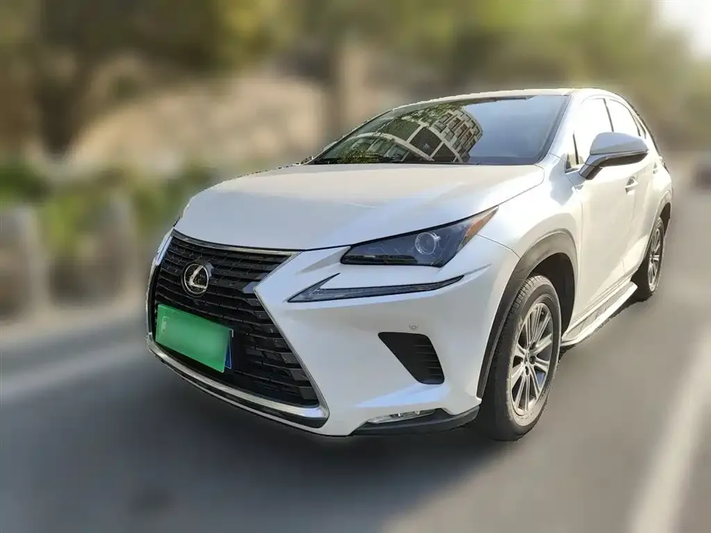 Lexus NX 2021 из CN, фото 6
