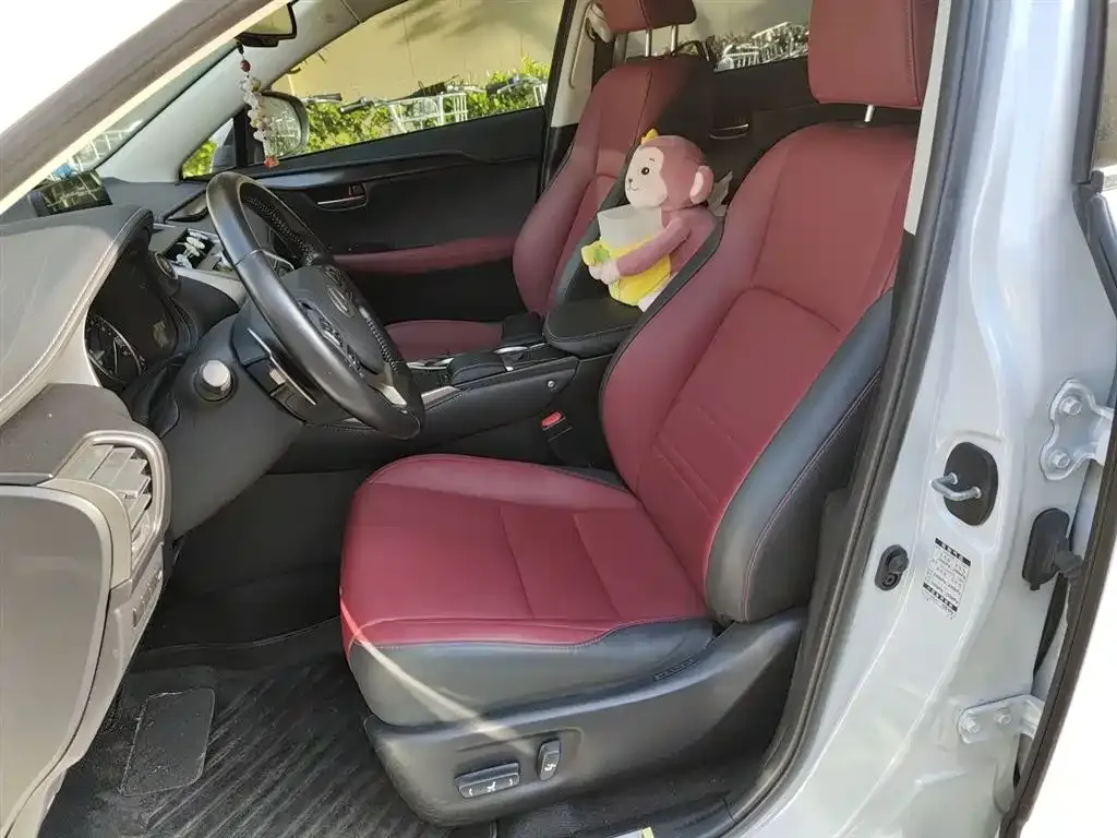 Lexus NX 2021 из CN, фото 8