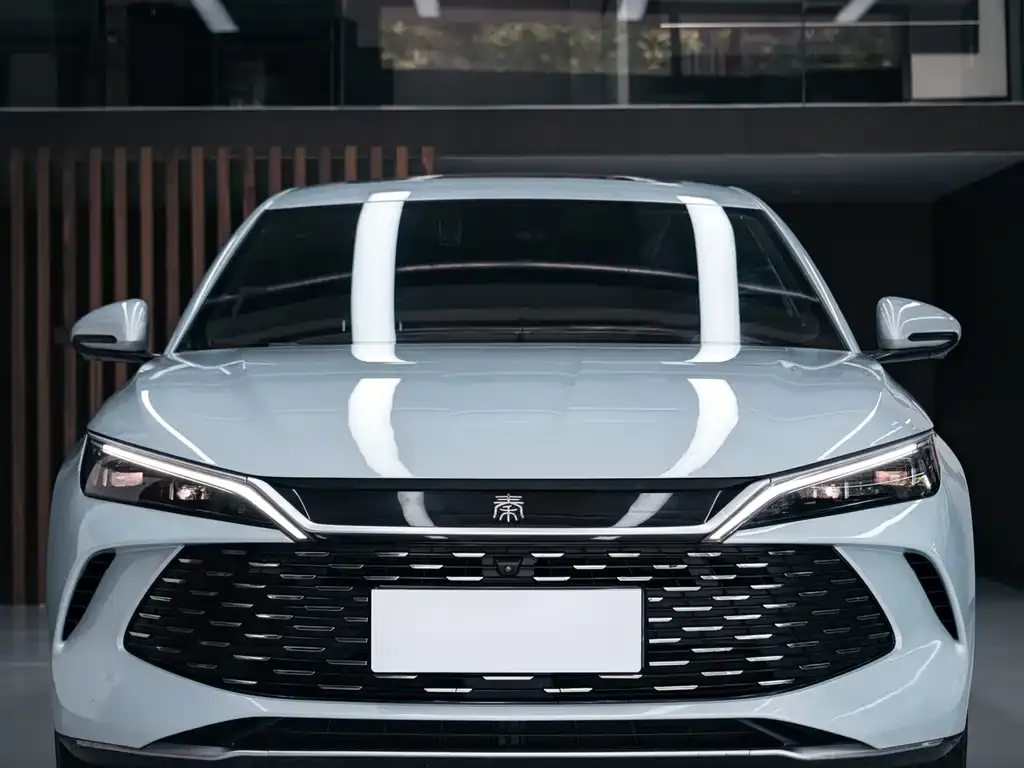 BYD Qin L — фото 4