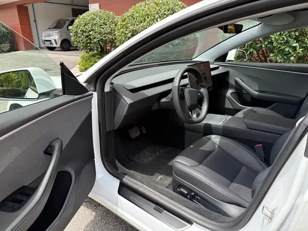 Tesla Model 3 2024 из CN, фото 3