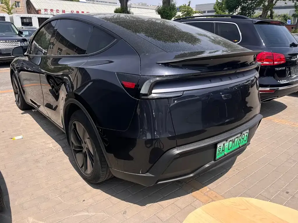 Tesla Model Y — фото 6