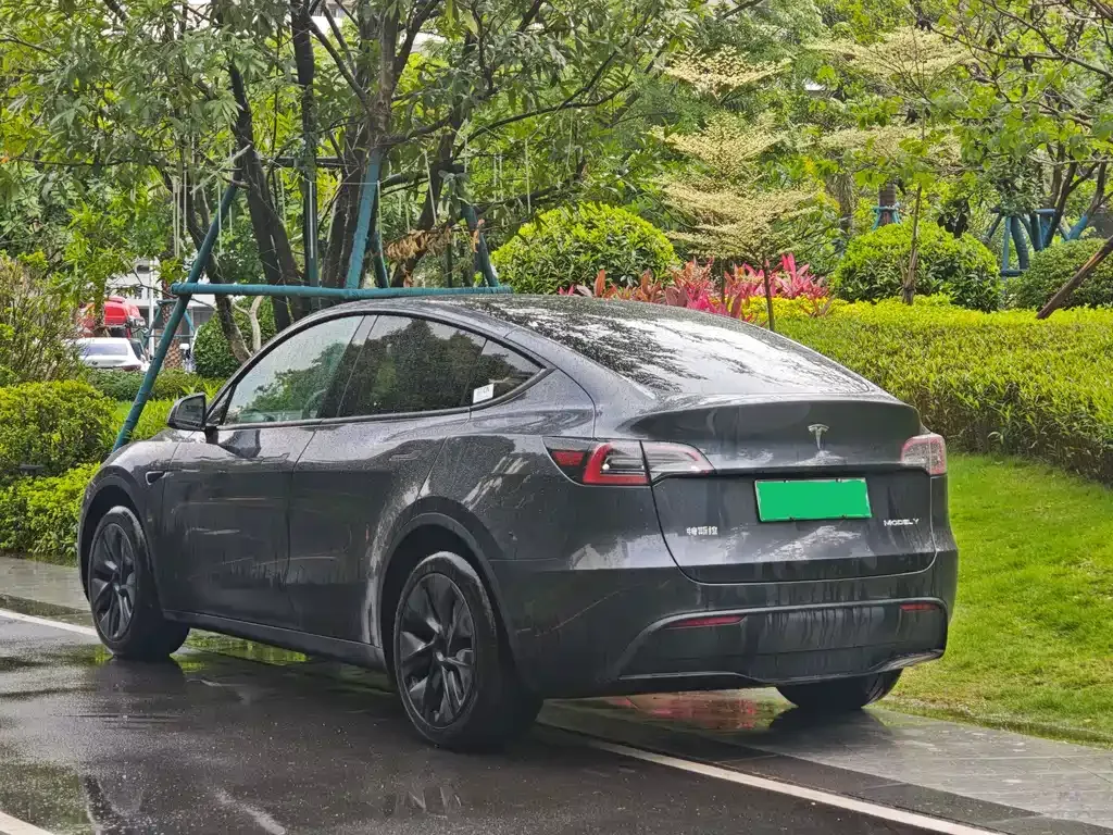 Tesla Model Y — фото 5