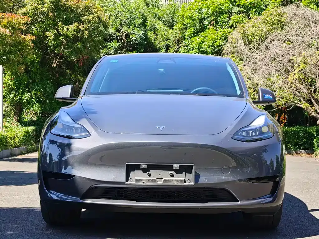 Tesla Model Y — фото 8