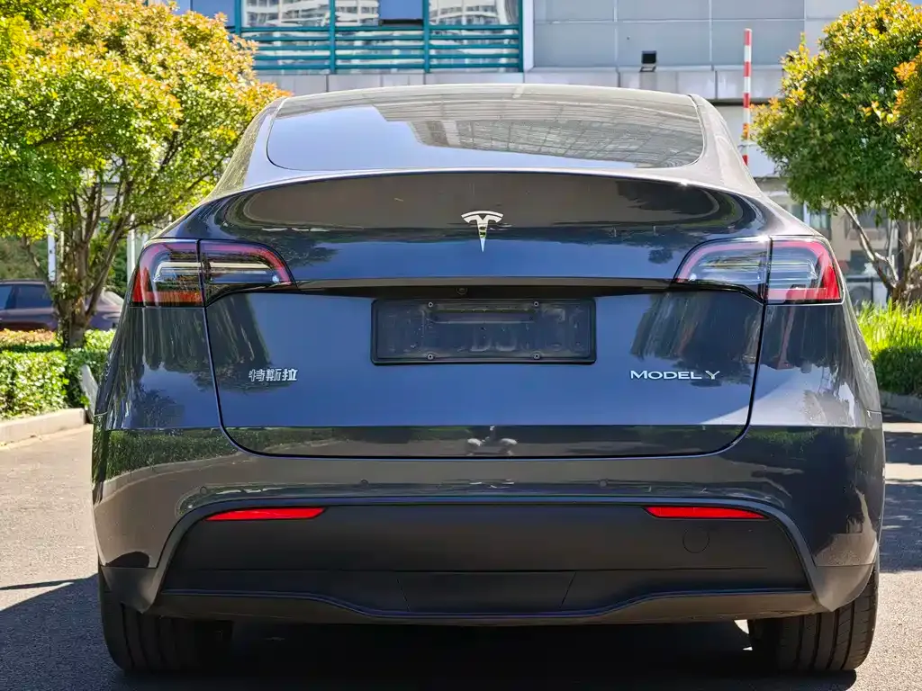 Tesla Model Y — фото 7