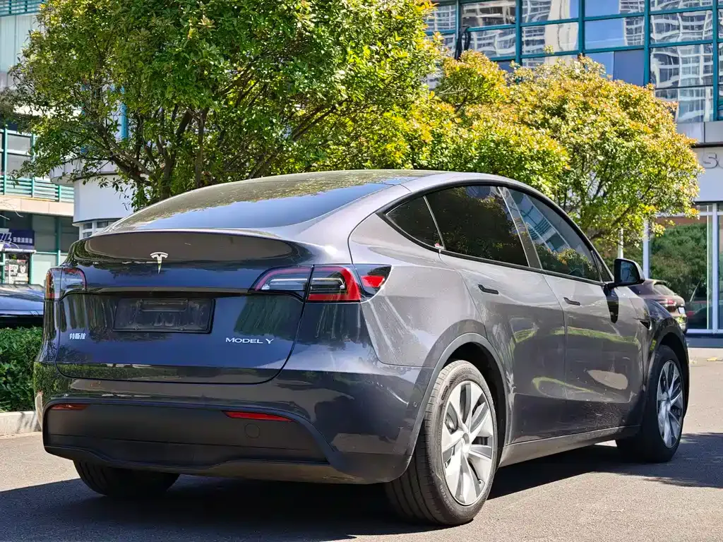 Tesla Model Y — фото 9