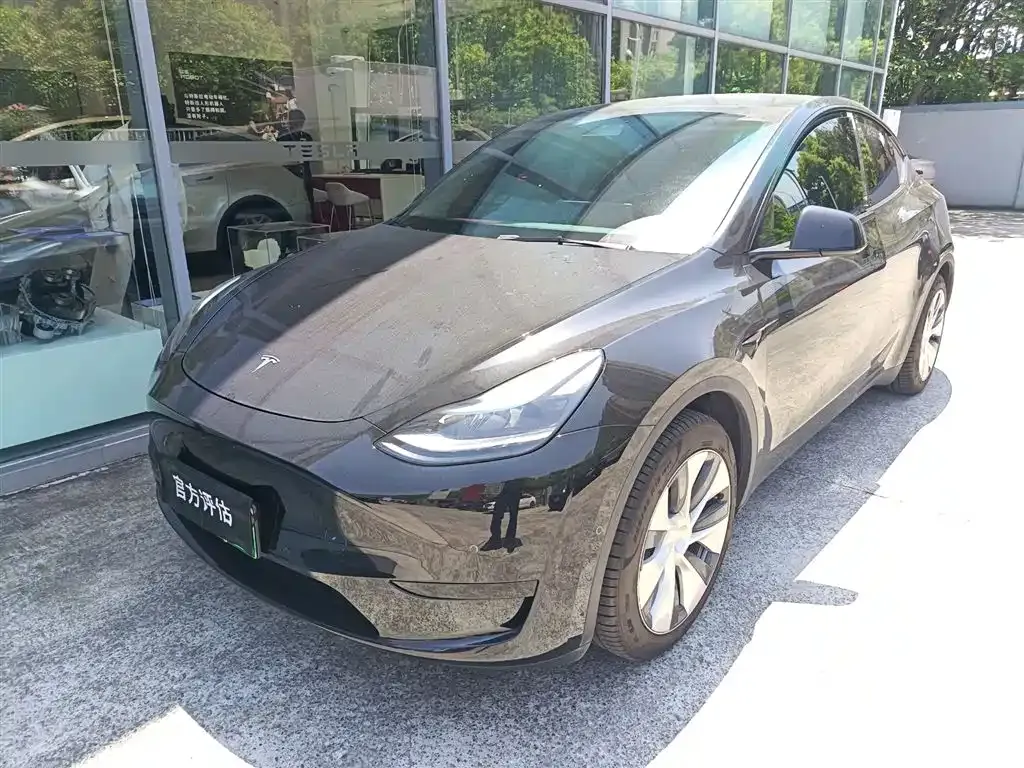Tesla Model Y — фото 1