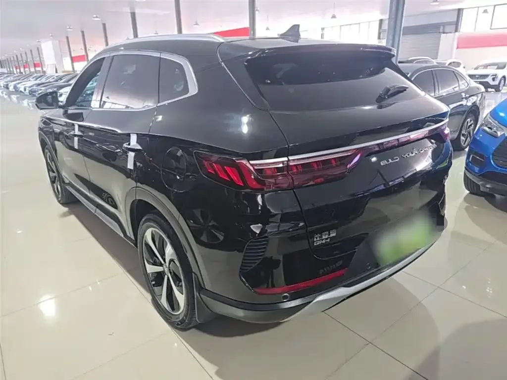 BYD PLUS New Energy — фото 5
