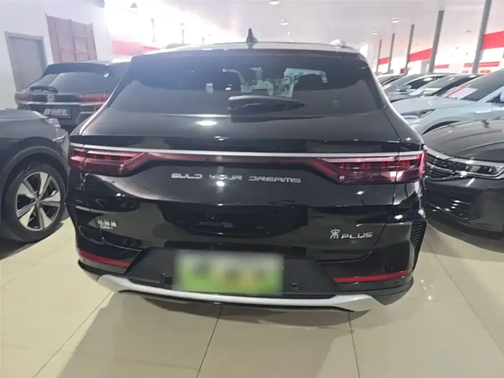 BYD PLUS New Energy — фото 2