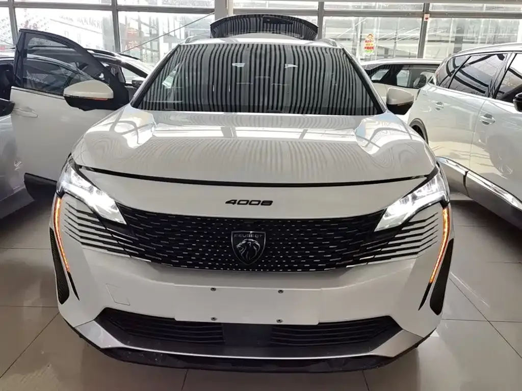 Peugeot 4008 2024 из CN, фото 9