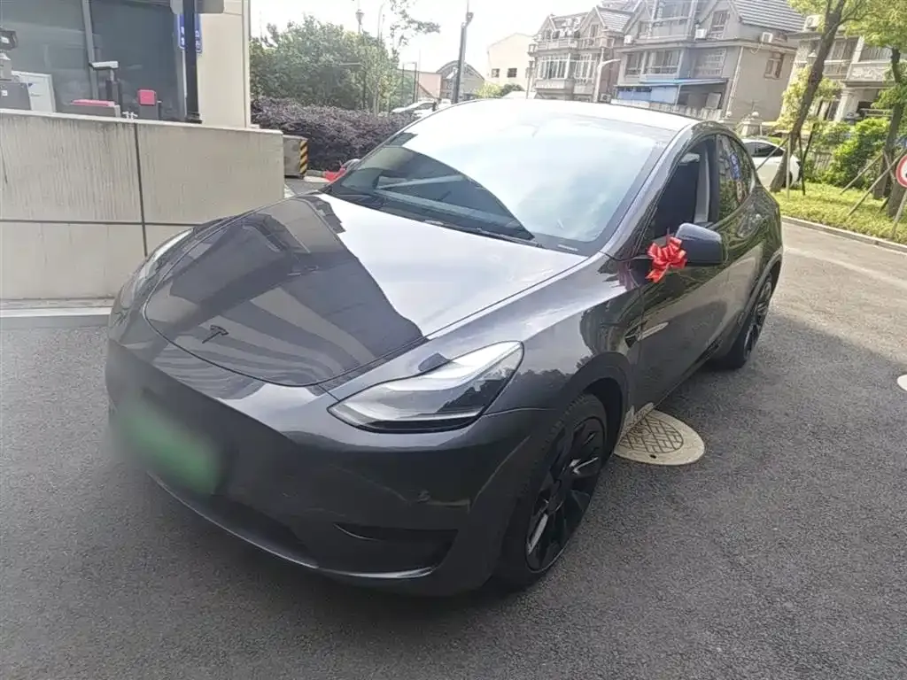 Tesla Model Y — фото 2