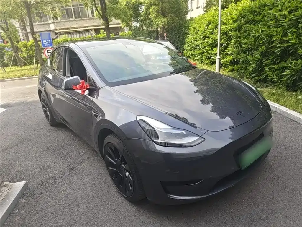 Tesla Model Y — фото 6