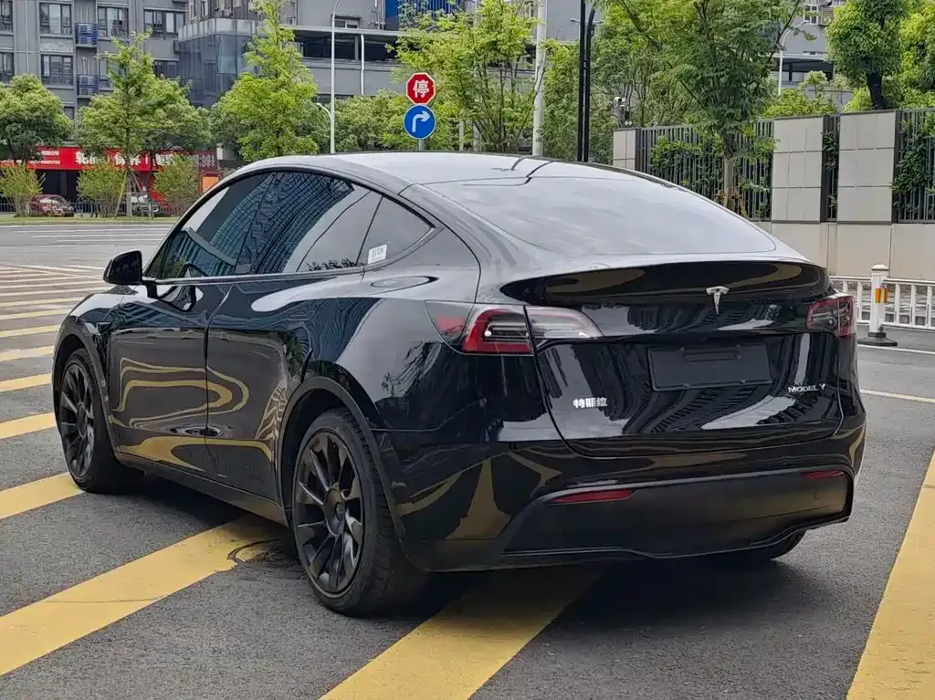 Tesla Model Y — фото 3