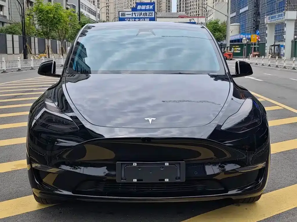 Tesla Model Y — фото 10