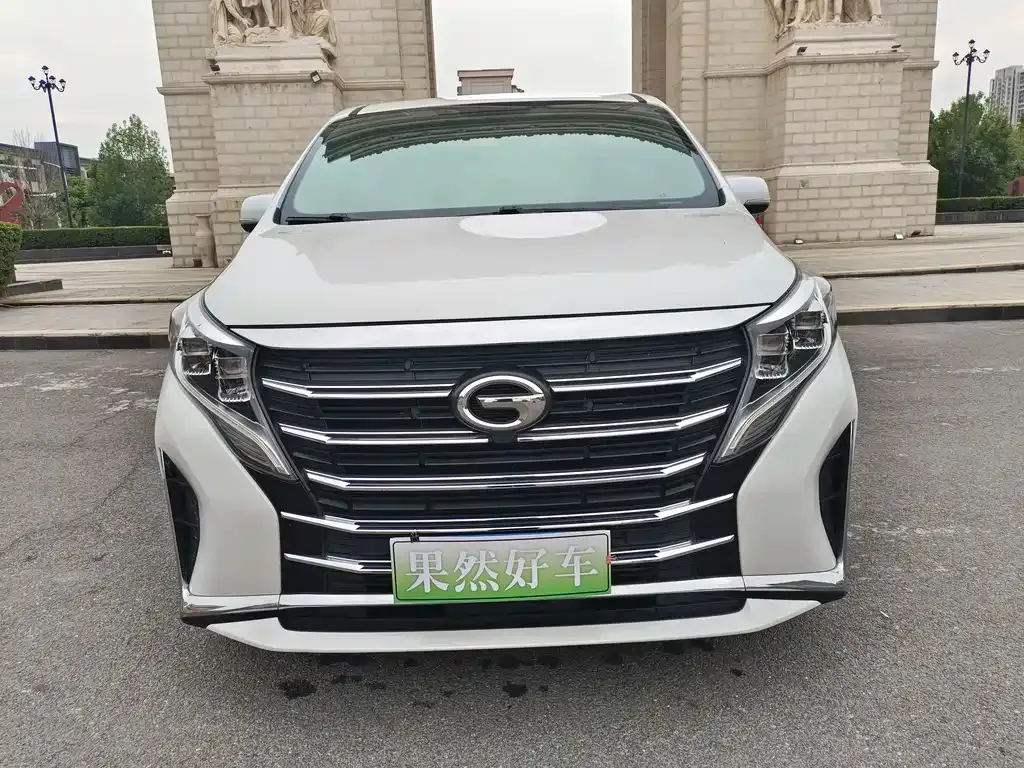 GAC Motor Trumpchi M8 2024 из CN, фото 8