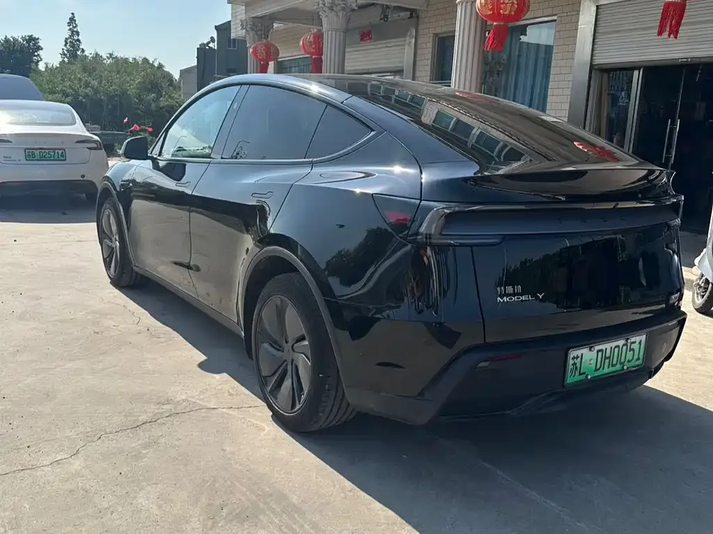 Tesla Model Y — фото 10