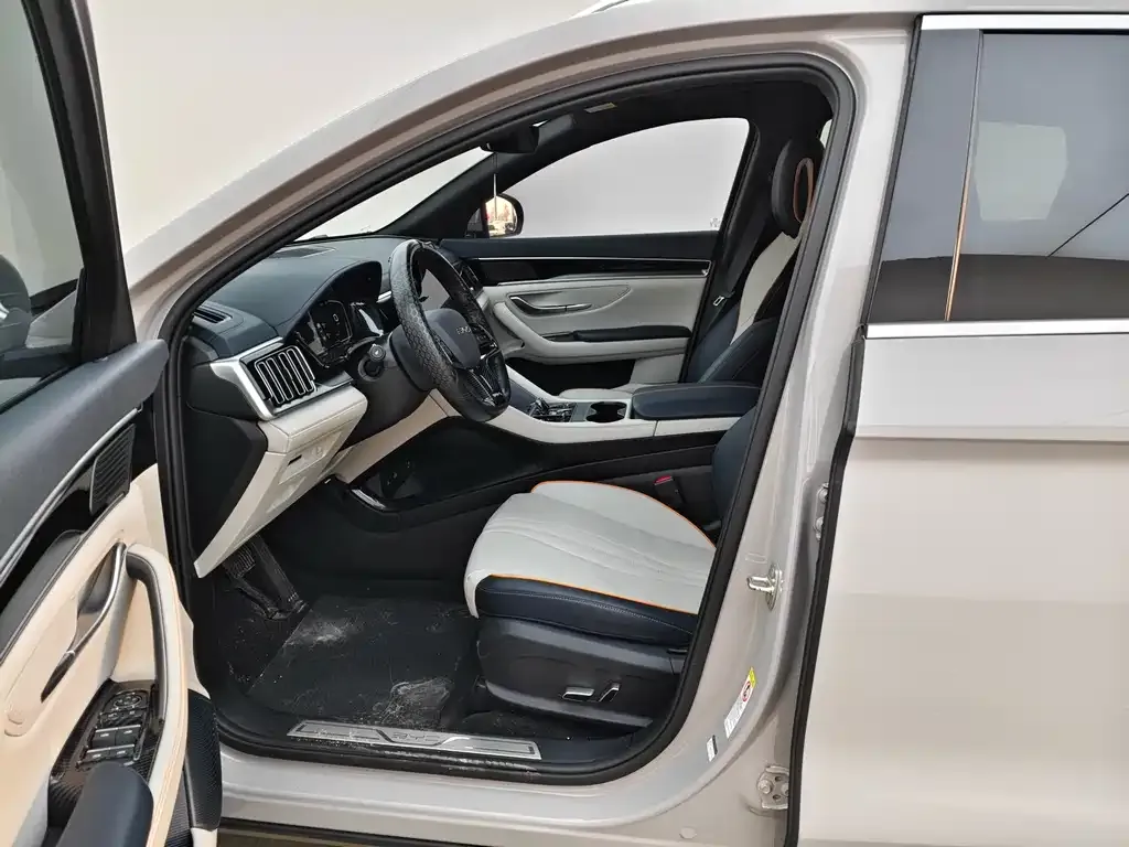 BYD PLUS New Energy — фото 2