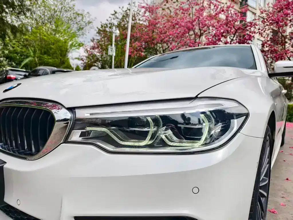 BMW 5 Series 2021 из CN, фото 7