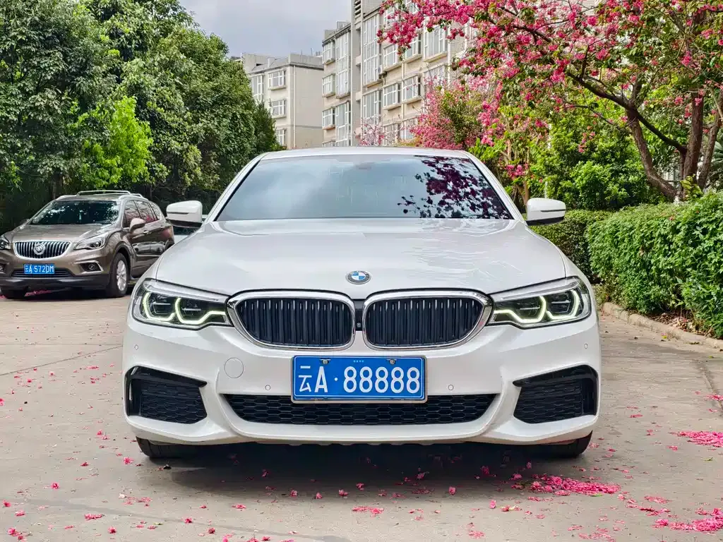 BMW 5 Series 2021 из CN, фото 8