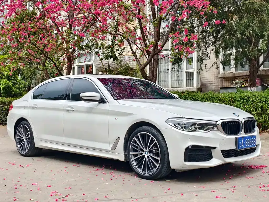 BMW 5 Series 2021 из CN, фото 5