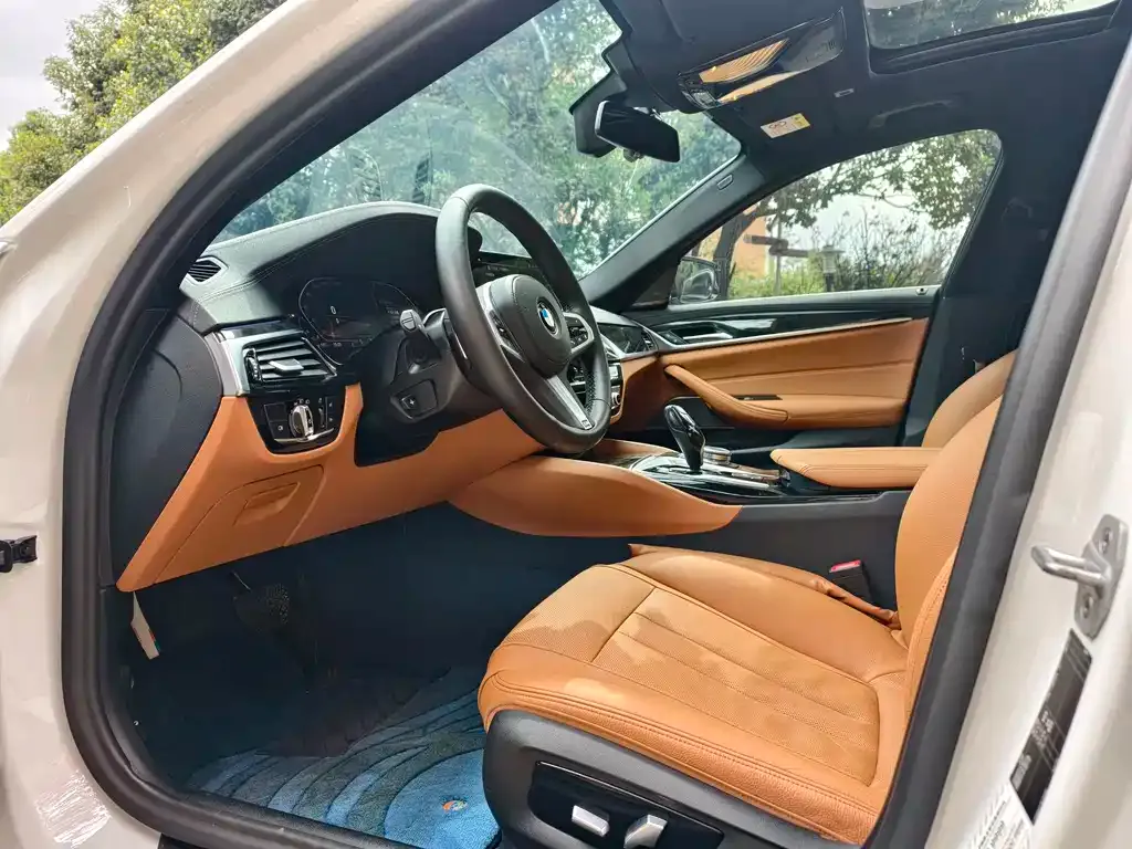 BMW 5 Series 2021 из CN, фото 2
