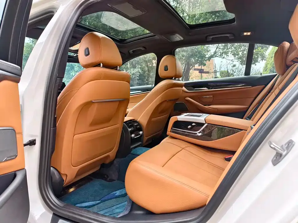 BMW 5 Series 2021 из CN, фото 4