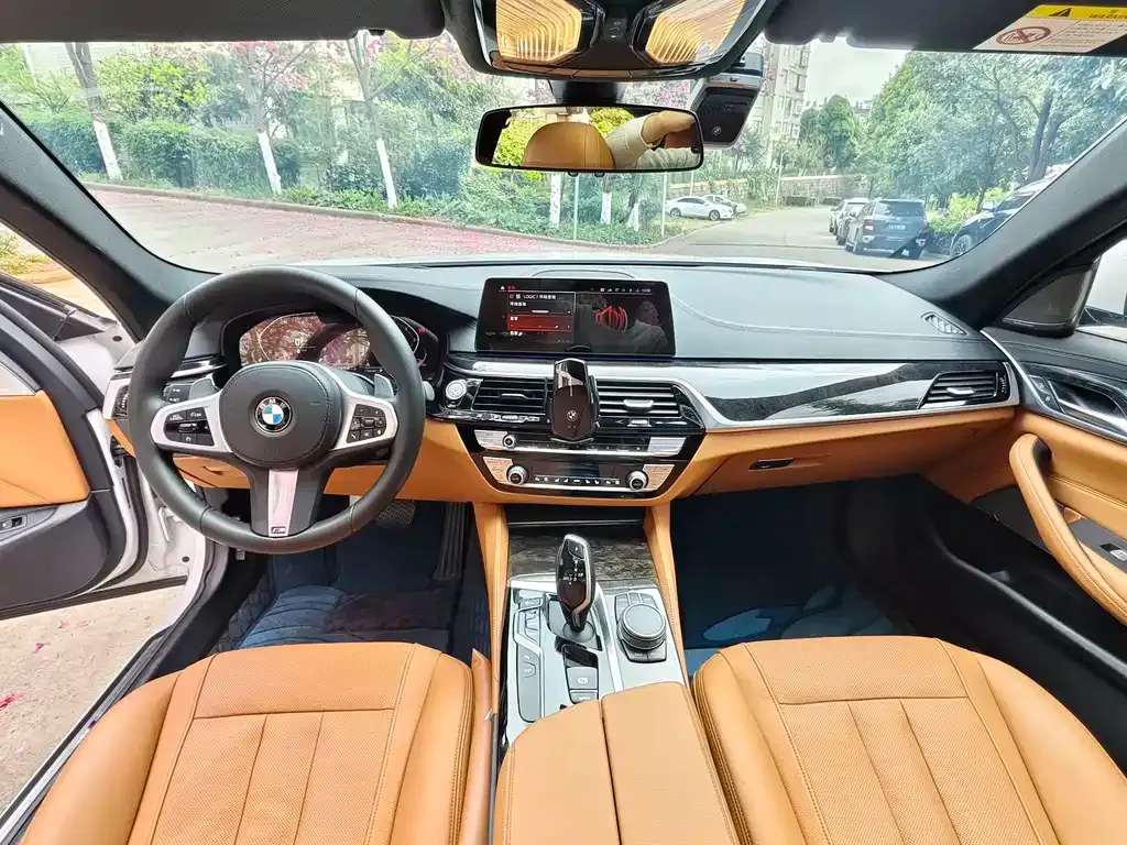 BMW 5 Series 2021 из CN, фото 3