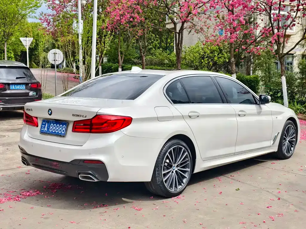 BMW 5 Series 2021 из CN, фото 6