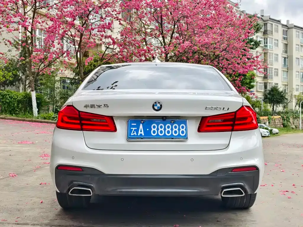 BMW 5 Series 2021 из CN, фото 10