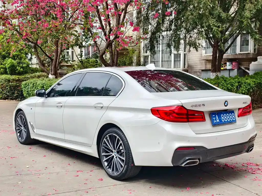 BMW 5 Series 2021 из CN, фото 9
