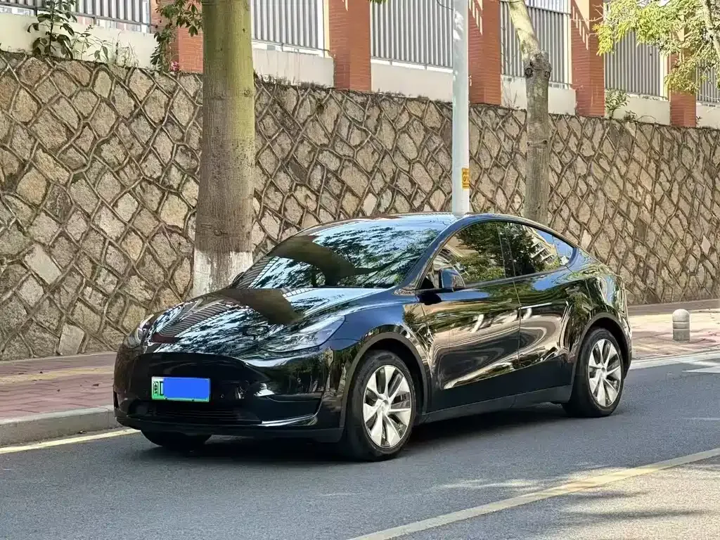 Tesla Model Y — фото 1