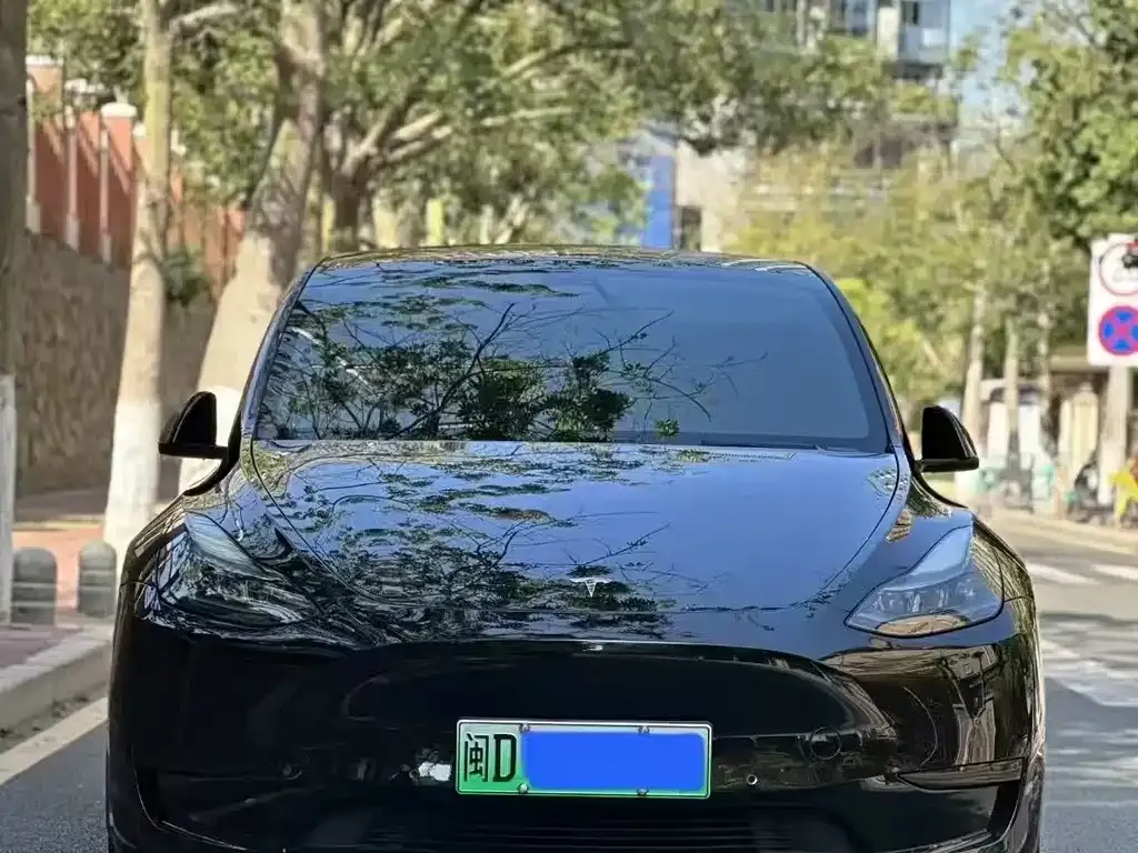Tesla Model Y — фото 3