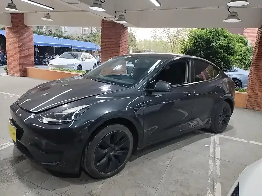 Tesla Model Y — фото 6