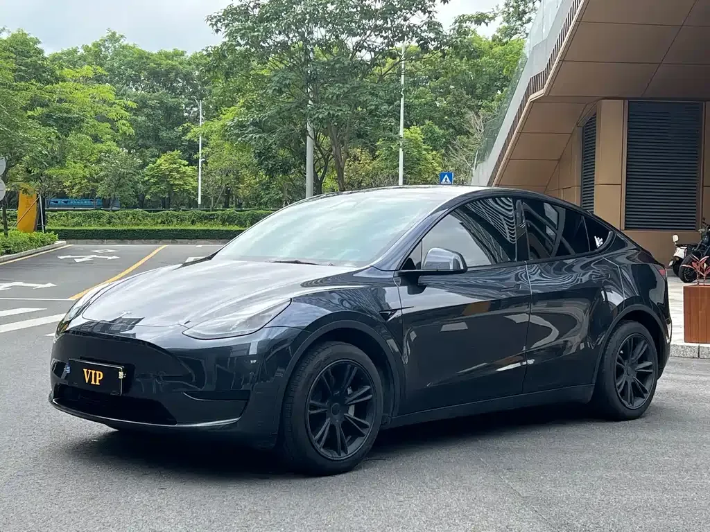 Tesla Model Y — фото 1