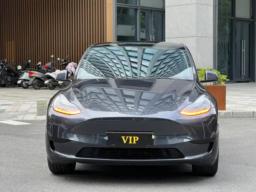 Tesla Model Y — фото 10