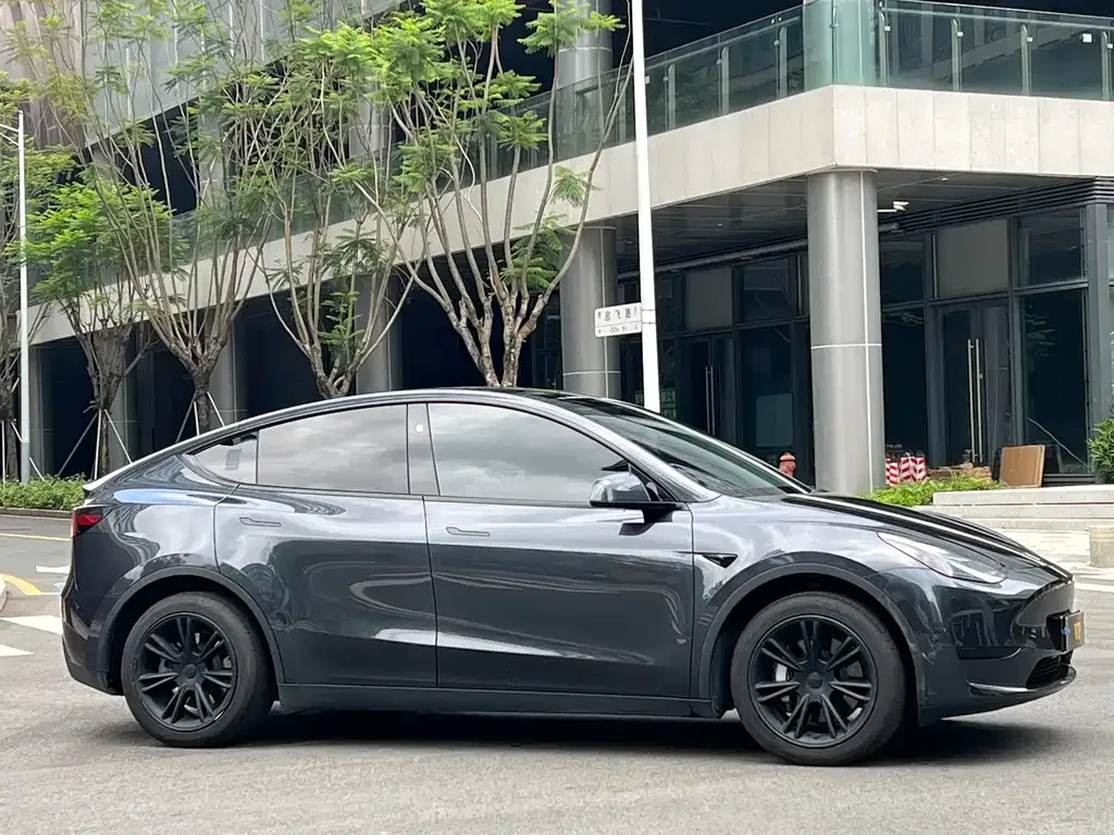 Tesla Model Y — фото 6