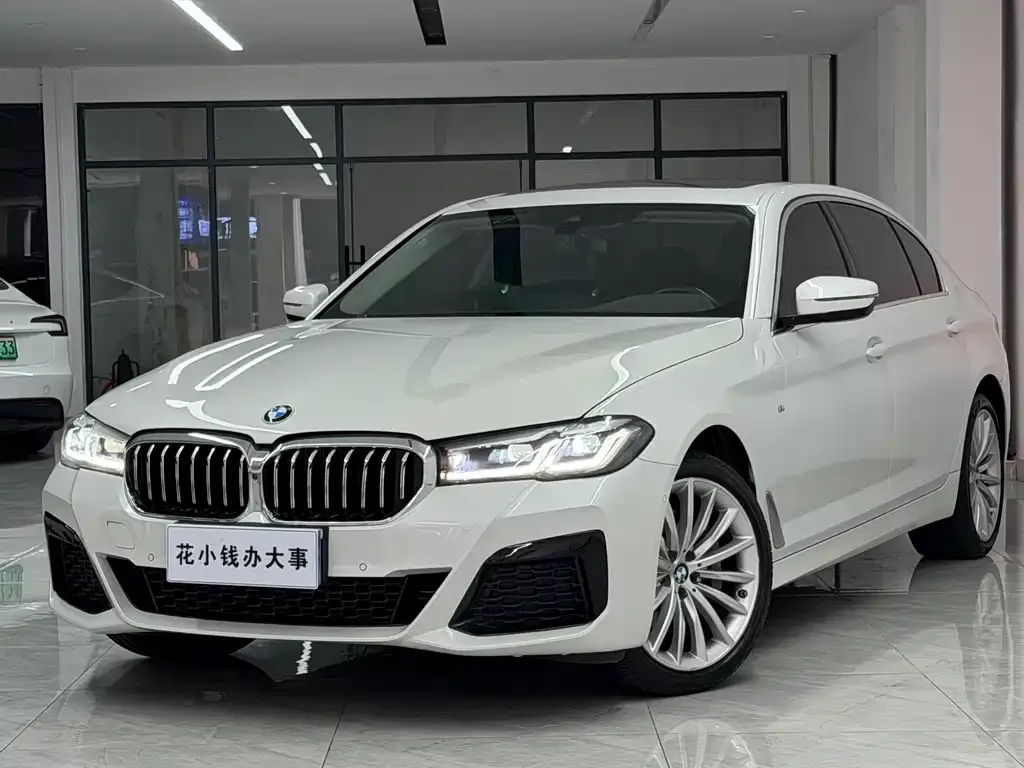BMW 5 Series 2022 из CN, фото 9
