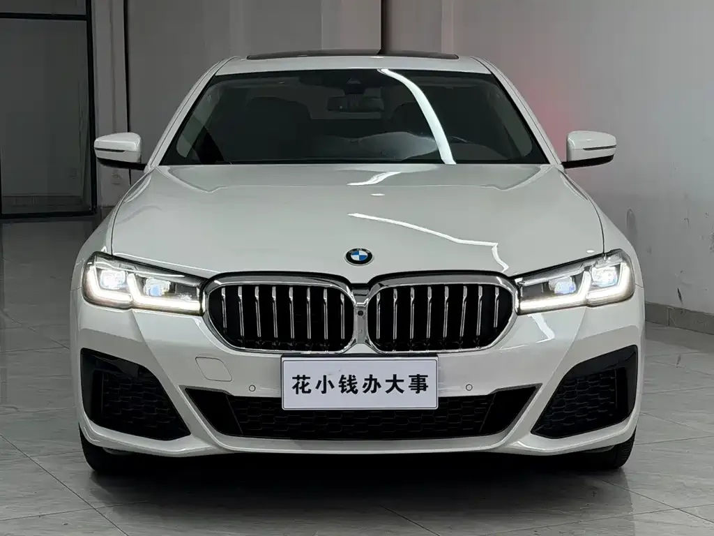 BMW 5 Series 2022 из CN, фото 4
