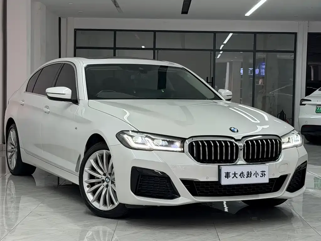 BMW 5 Series 2022 из CN, фото 8