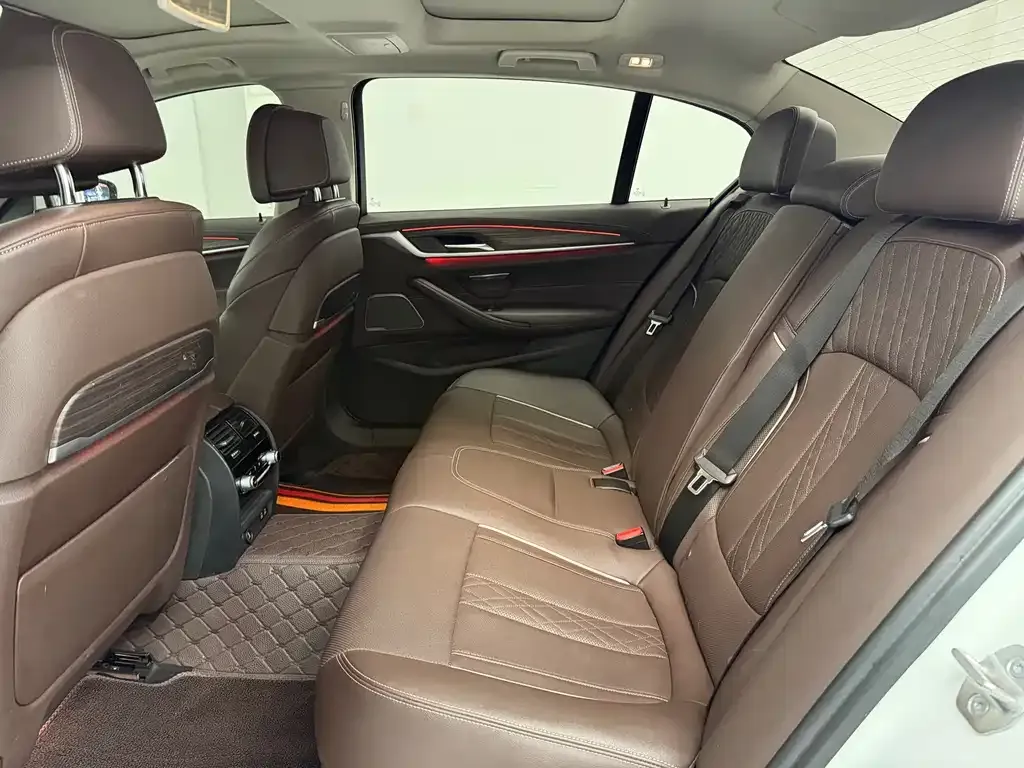 BMW 5 Series 2022 из CN, фото 5