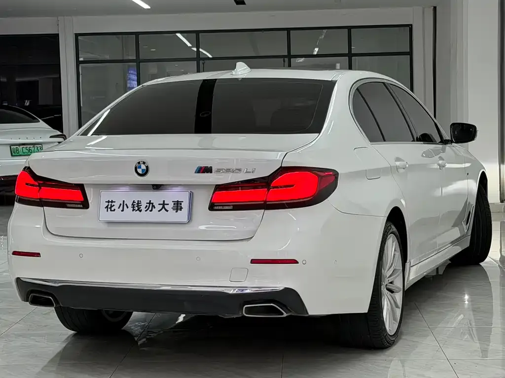 BMW 5 Series 2022 из CN, фото 6