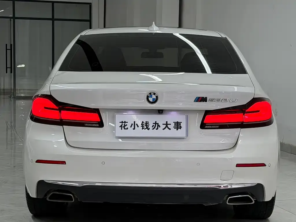 BMW 5 Series 2022 из CN, фото 2