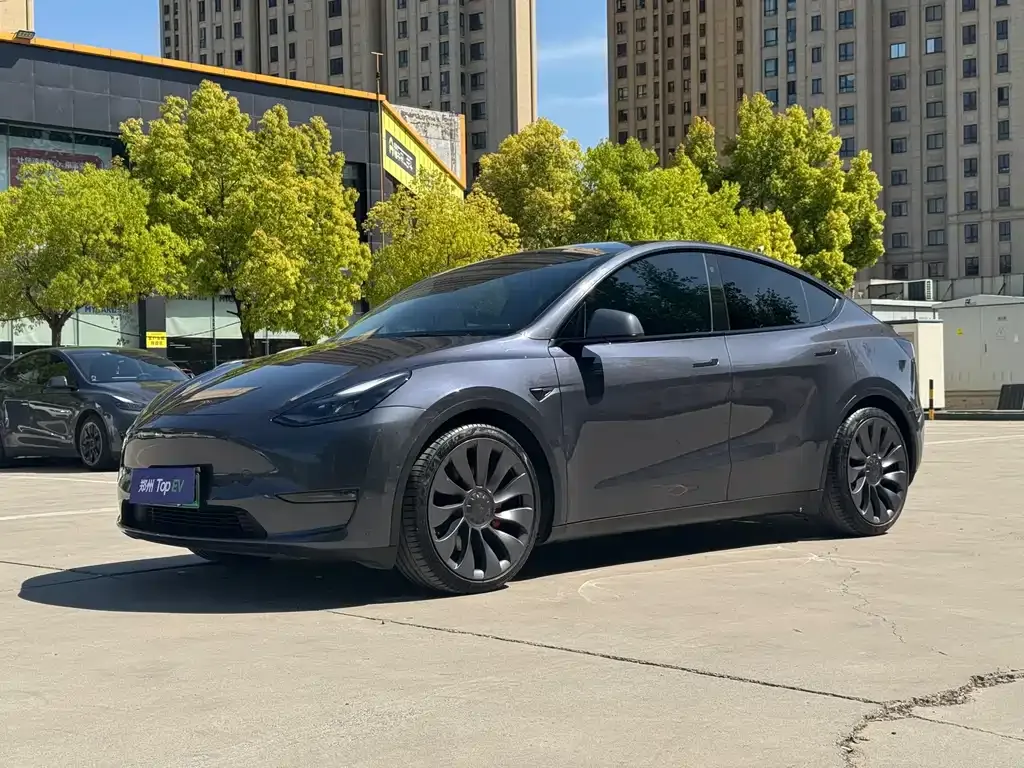 Tesla Model Y — фото 1