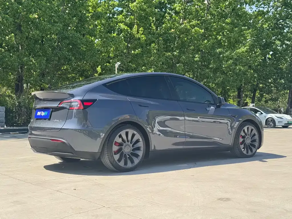 Tesla Model Y — фото 8