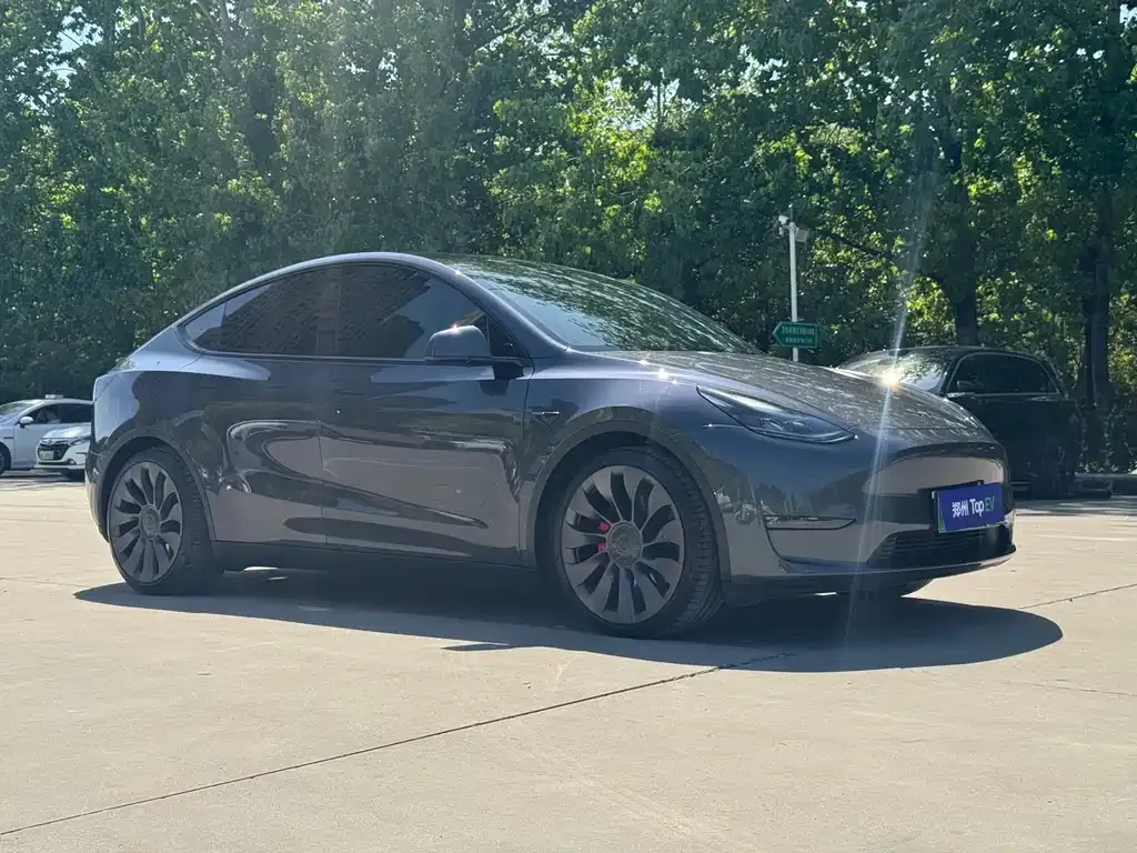 Tesla Model Y — фото 9