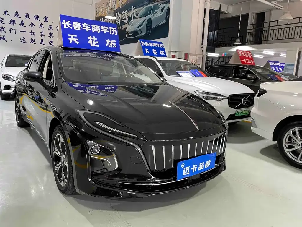 Hongqi E-QM5 2023 из CN, фото 10